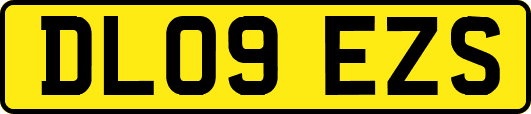 DL09EZS