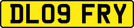 DL09FRY