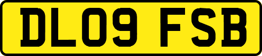 DL09FSB
