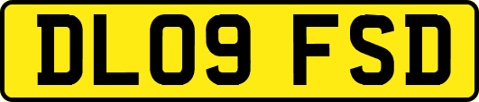 DL09FSD