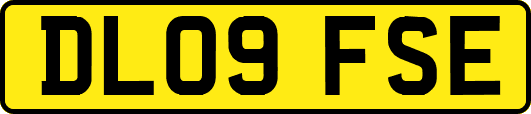 DL09FSE