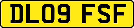 DL09FSF