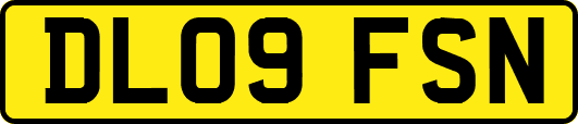 DL09FSN