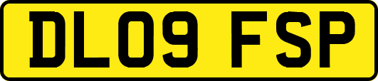 DL09FSP