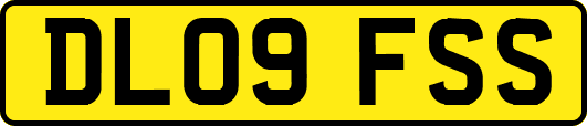 DL09FSS