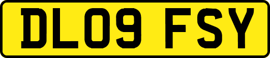 DL09FSY