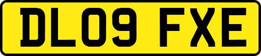 DL09FXE