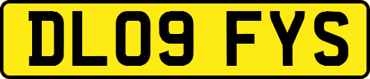 DL09FYS