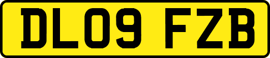 DL09FZB