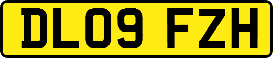DL09FZH