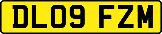 DL09FZM