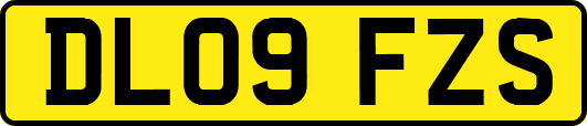 DL09FZS