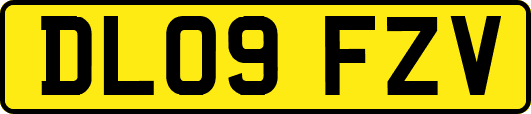 DL09FZV