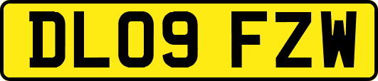 DL09FZW