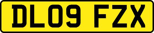 DL09FZX