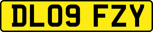 DL09FZY