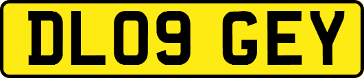 DL09GEY