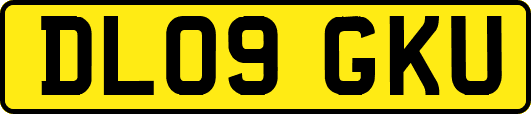 DL09GKU