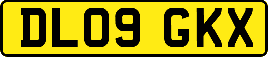 DL09GKX