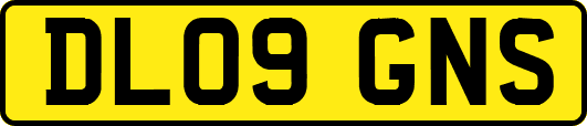DL09GNS