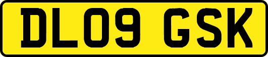 DL09GSK