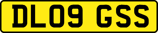 DL09GSS