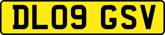 DL09GSV