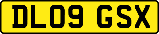 DL09GSX