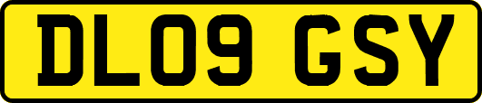 DL09GSY