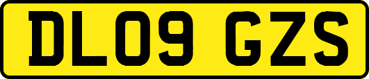 DL09GZS