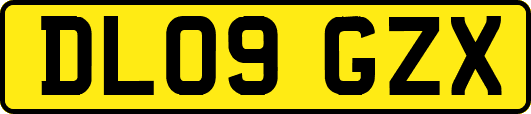 DL09GZX