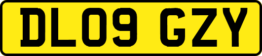 DL09GZY