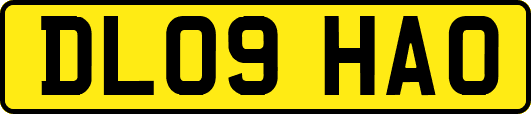 DL09HAO