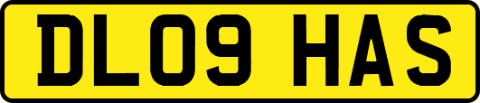 DL09HAS