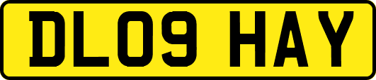DL09HAY