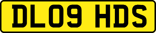 DL09HDS