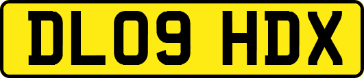 DL09HDX