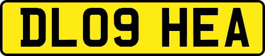 DL09HEA