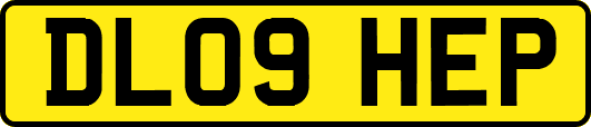 DL09HEP