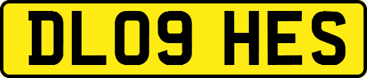DL09HES