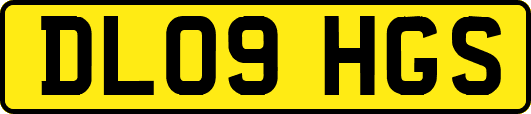 DL09HGS