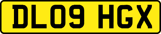 DL09HGX