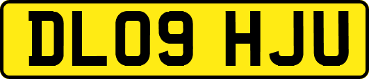 DL09HJU