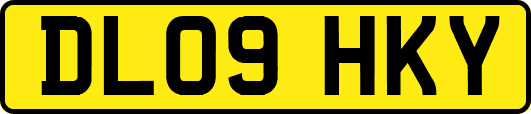 DL09HKY
