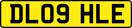 DL09HLE