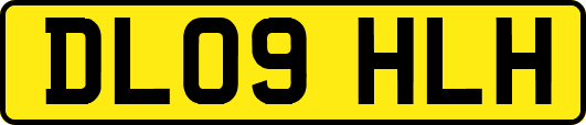 DL09HLH