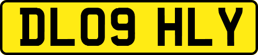 DL09HLY