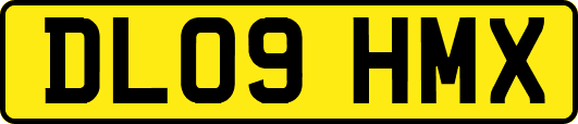 DL09HMX