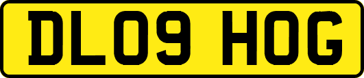 DL09HOG