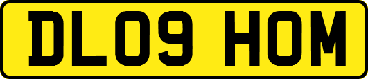DL09HOM